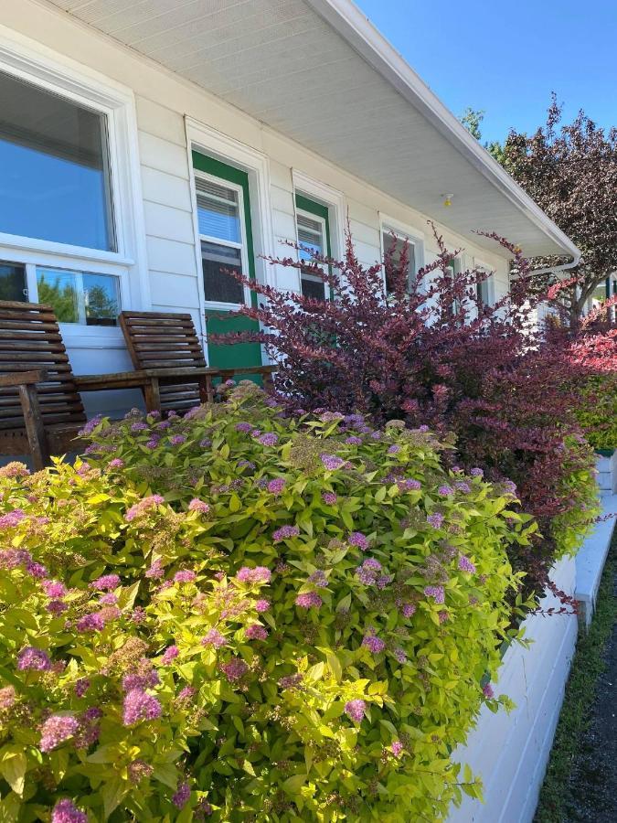 Motel Glenn Percé Extérieur photo